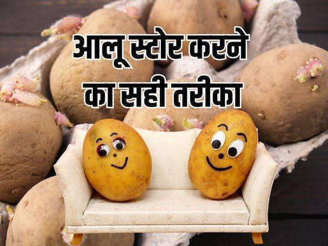 आलू को अंकुरित होने से बचाने के उपाय
